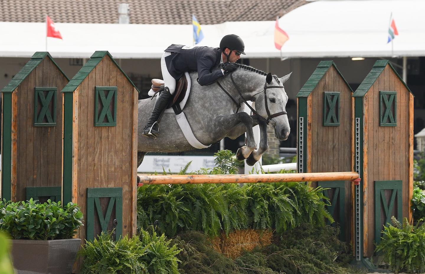 Team Rakowsky, Florida, USA - Showjumping Horses For Sale